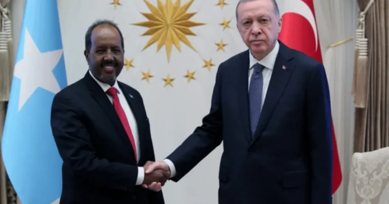 cumhurbaskani-erdogan-somalili-mevkidasiyla-gorustu-9gfZu7GH.webp